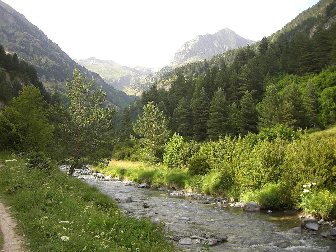 ibon_de_respomuso_001 Río Aguas Límpias
