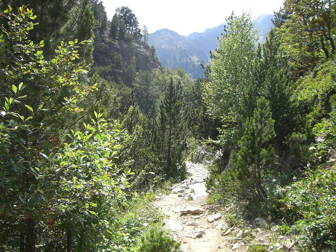ibon_de_respomuso_011 Senda de la Ascensión