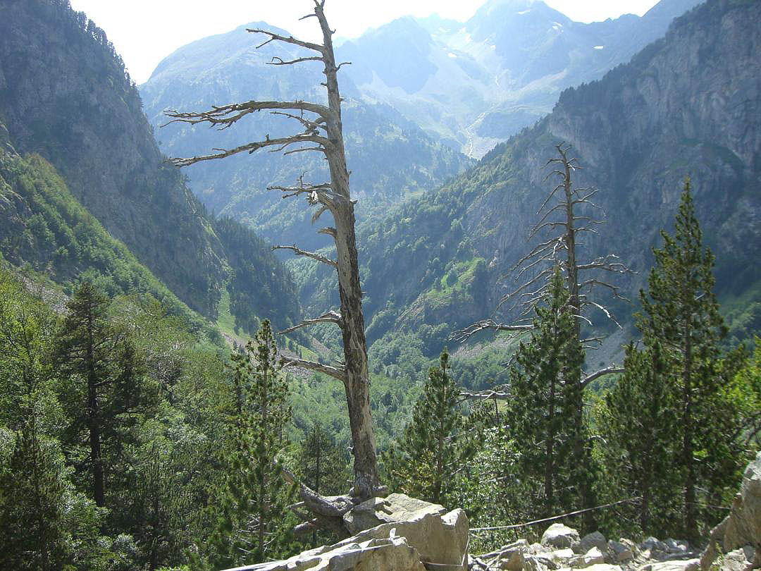 ibon_de_respomuso_012 Senda de la Ascensión