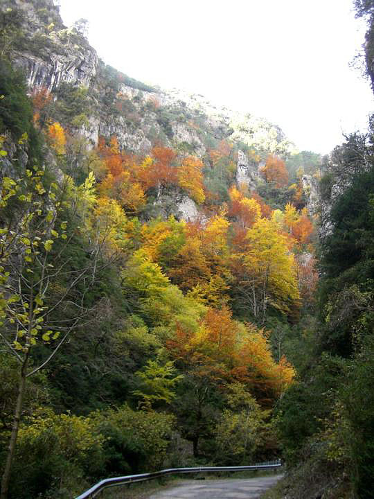 Otoño en Añisclo