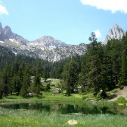 Ibonet de Batisielles