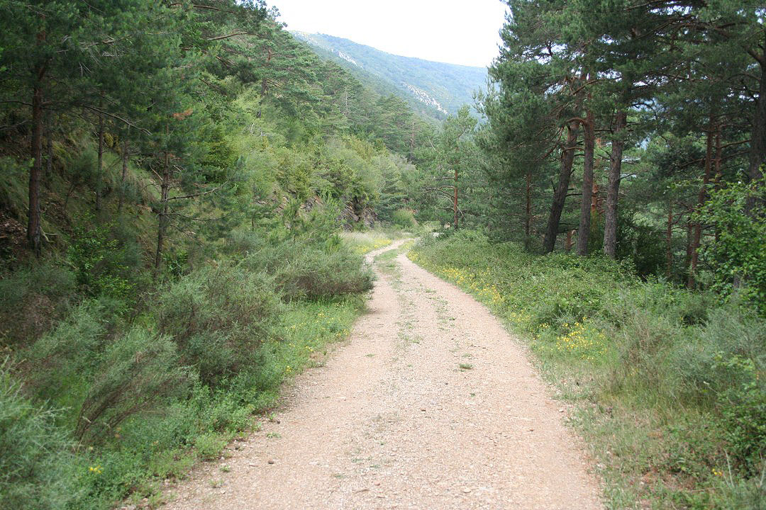 Pista que nace de la presa del embalse
