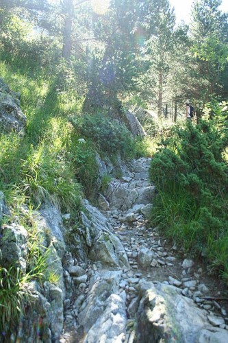 Bachimana (4) Primeros tramos de la GR-11