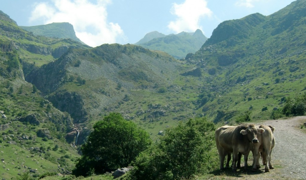Cabecera del valle de Guarrinza. A la izquierda cascadas que forma en río Aragón Subordan procedente de Aguastuertas. Aguastuertas 03
