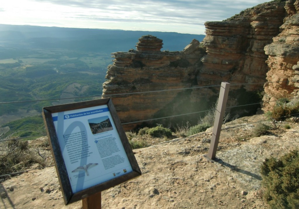 Mirador_Buitres (13)