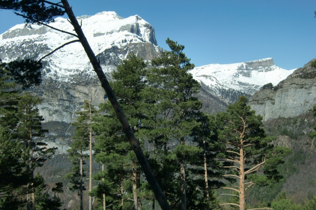 Vistas del Peñaforca y Chipeta al fondo Gabardito (13)