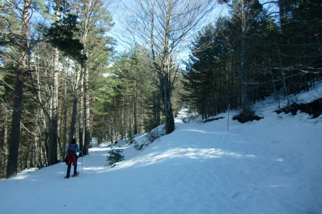 Giro en el sendero Gabardito (17)