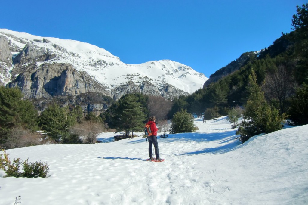 Primer claro del bosque en el que debemos abandonar el sendero GR.11.1. Tomando el segundo desvio a nuestra derecha Gabardito (5)