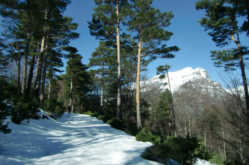Sendero de ascensión con el puntal de Lenito y el Peñaforca a nuestra derecha. Gabardito (7)