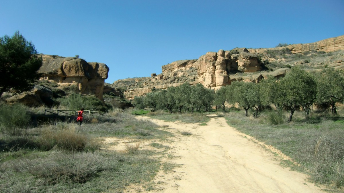 Anfiteatro de piedra del Rincon de Olivar y puente de madera sobre el barranco Gabarda (5)