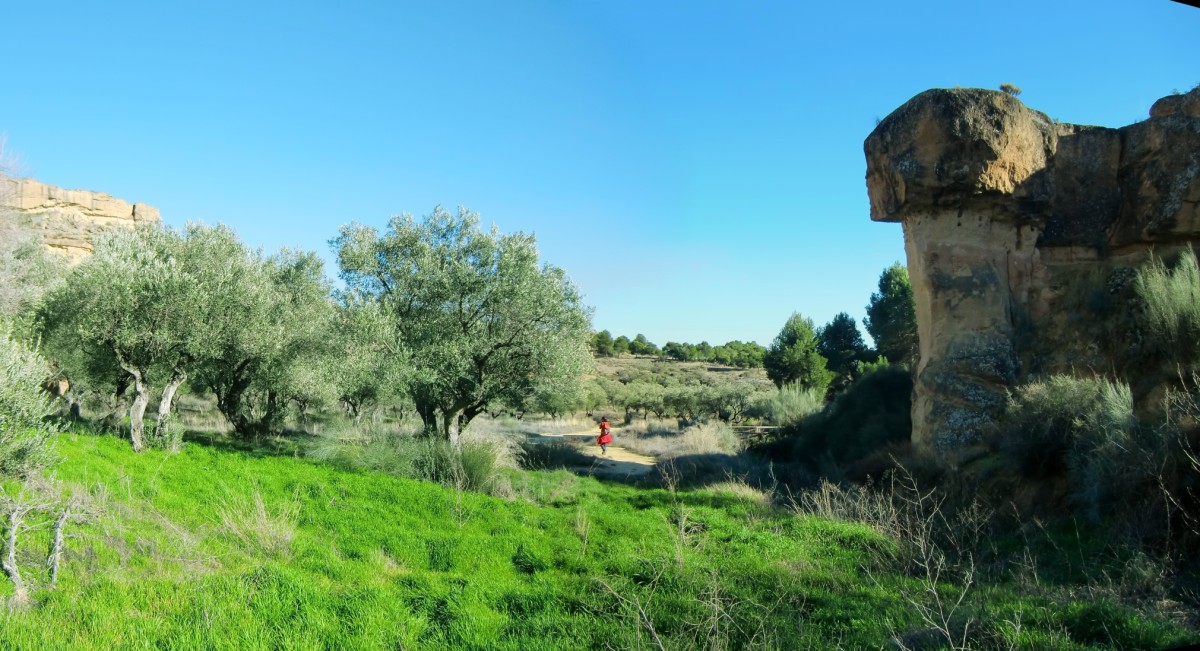 Rincón del Olivar Gabarda(31)