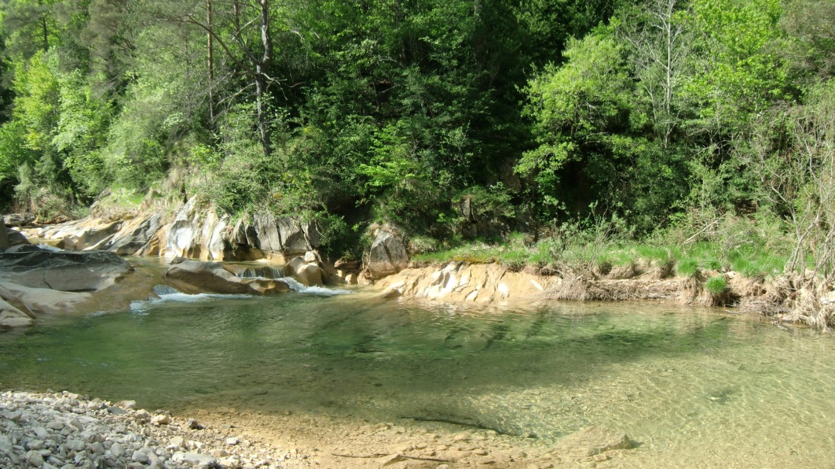 Badinas del Barranco de La Pillera Estañonero (4)