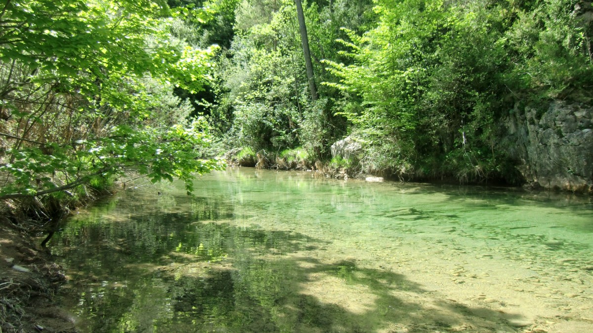 Badinas del Barranco de La Pillera Estañonero (7)