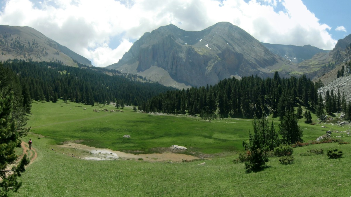 Gran pradera antesala de la llegada al Ibón de Plan Ibon_Plan (2)