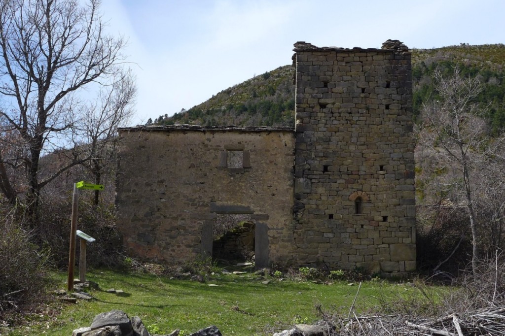 Pardineta de Biban Bara-Biban (28)
