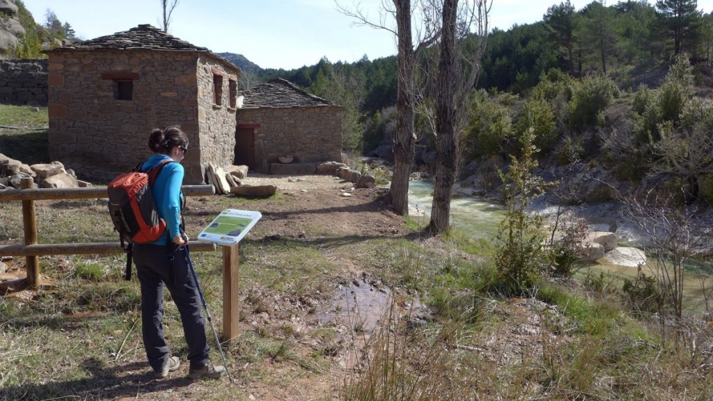 Molino de Bara Bara-Biban (8)