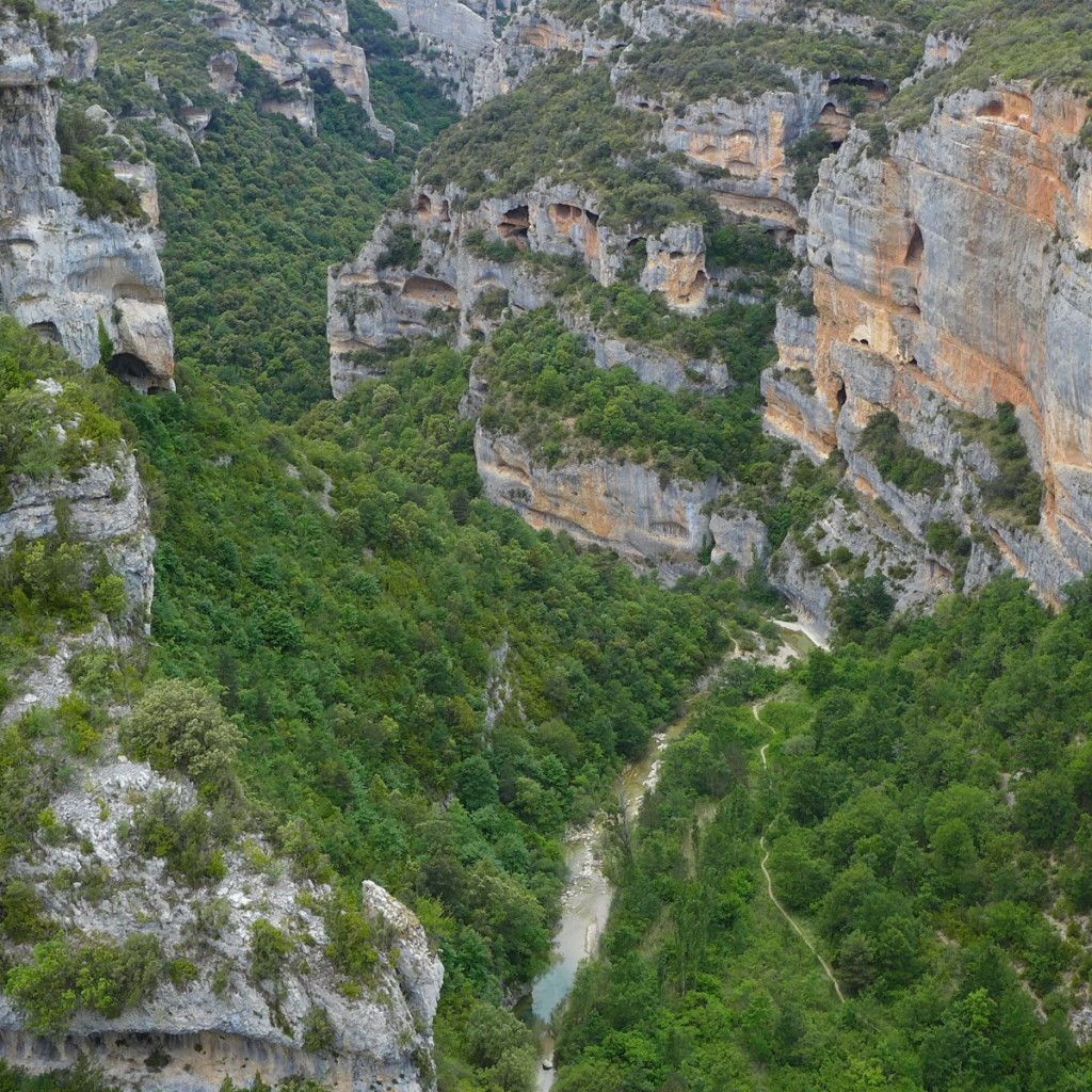 Vero (44)