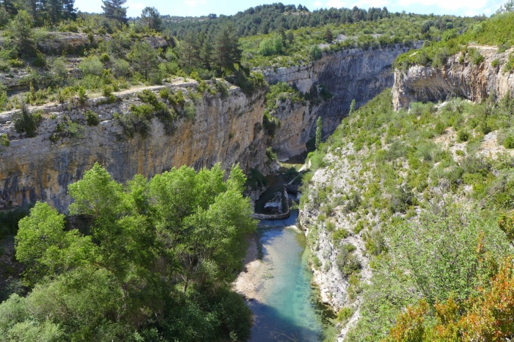 Vero (5)