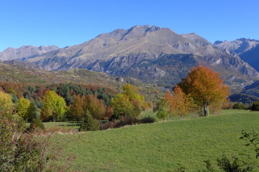 Praderas en el entorno del camino de Piedrafita al Ibon